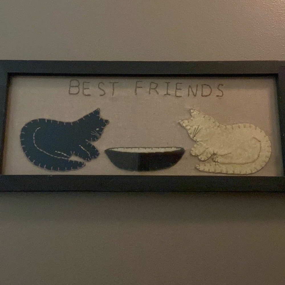 Any two for 15$ 16x8 primitive cat “stitched” picture.